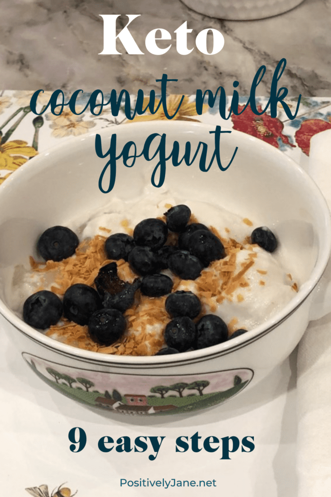 homemade yogurt in a bowl with blueberries on top | keto coconut milk yogurt | Positively Jane
