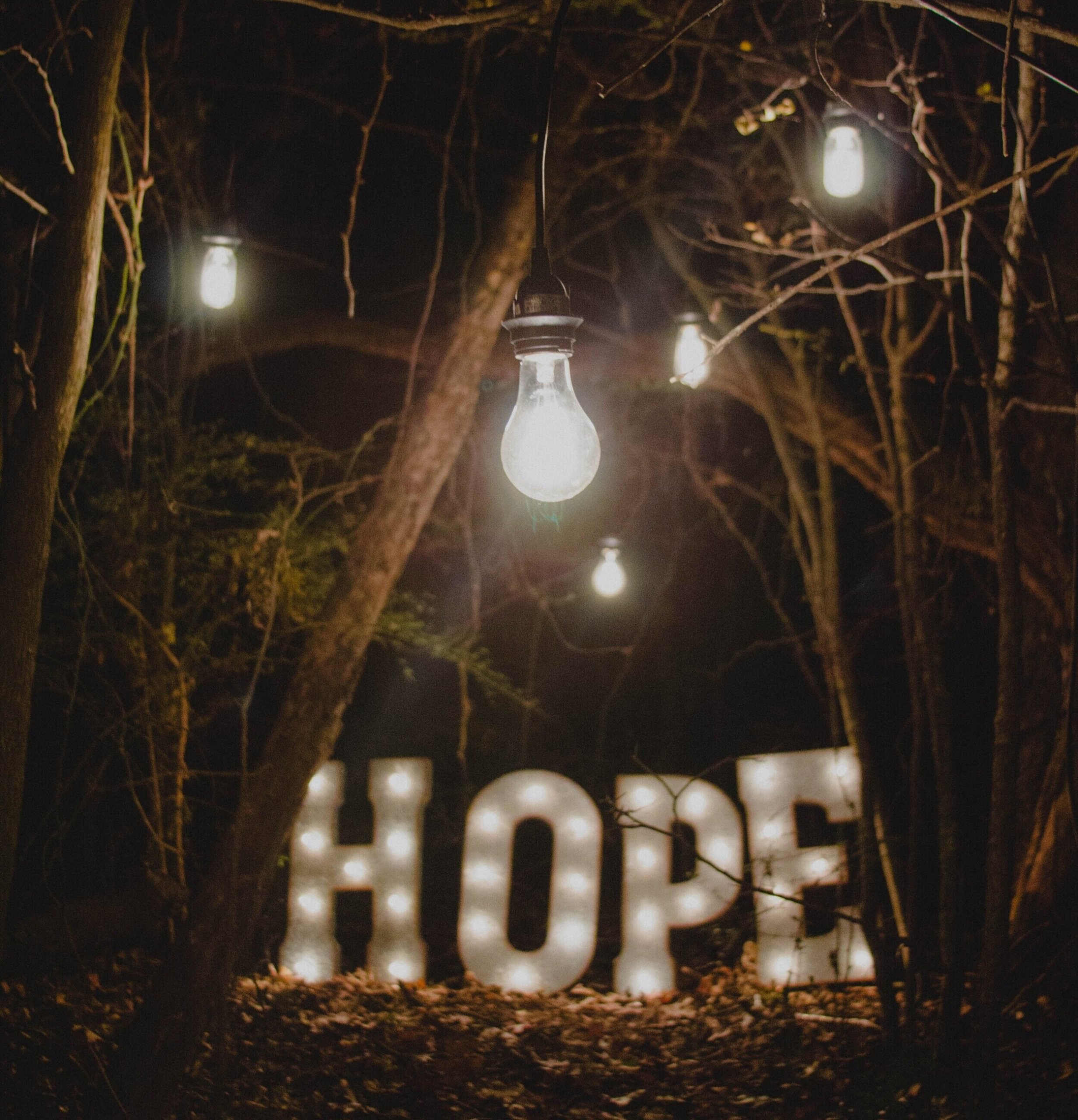 The word Hope lit up in lights in a forest with string lights hanging
