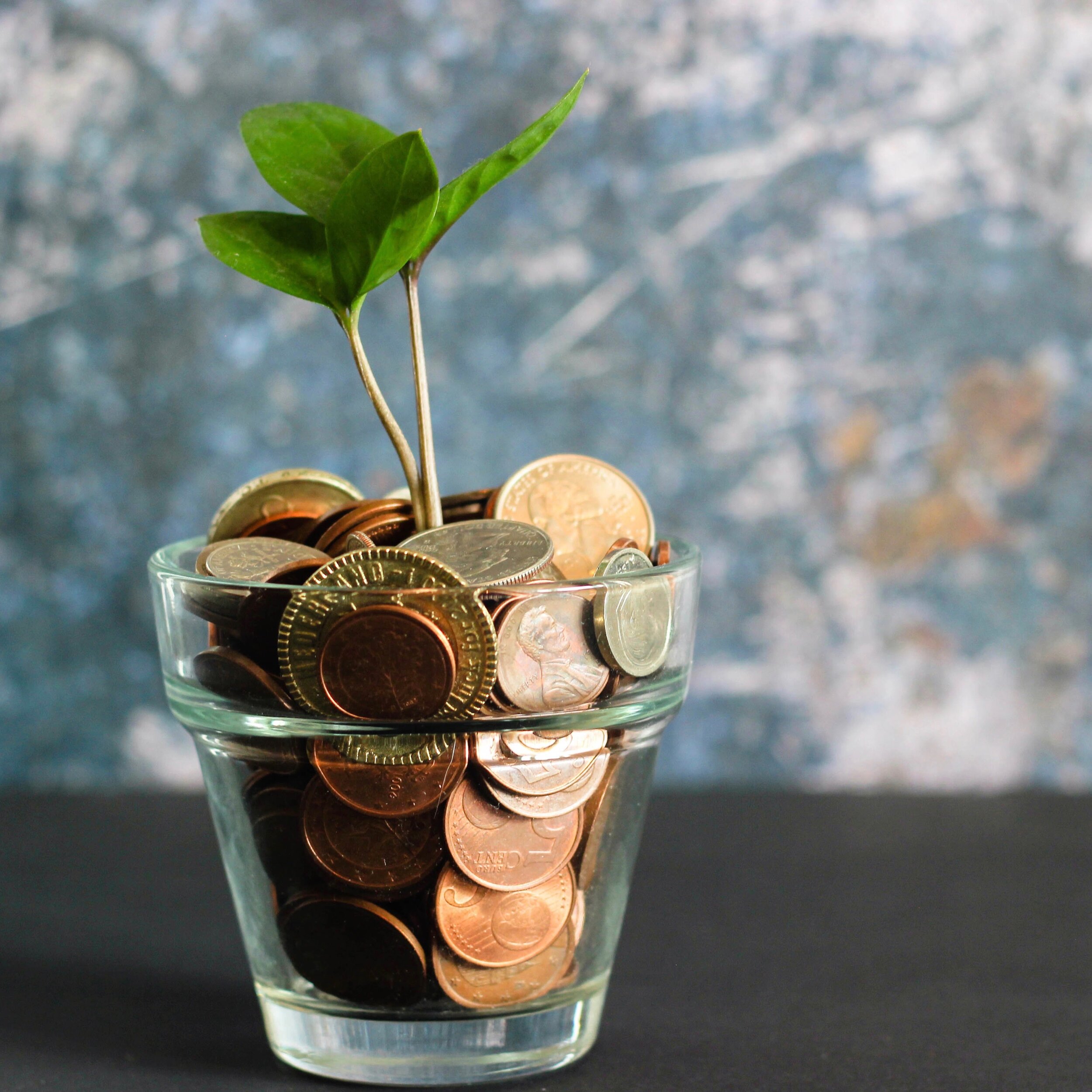 clear glass with coins and a tiny plant growing out of the money