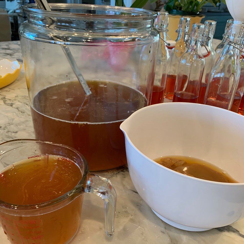 Kombucha bottles, scoby, steeped tea and measuring cups all ready to put it all in bottles