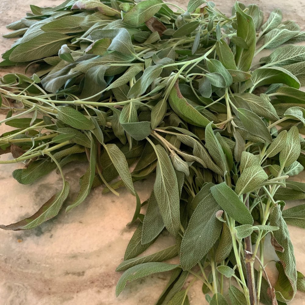 a bunch of fresh cut sage on the kitchen counter