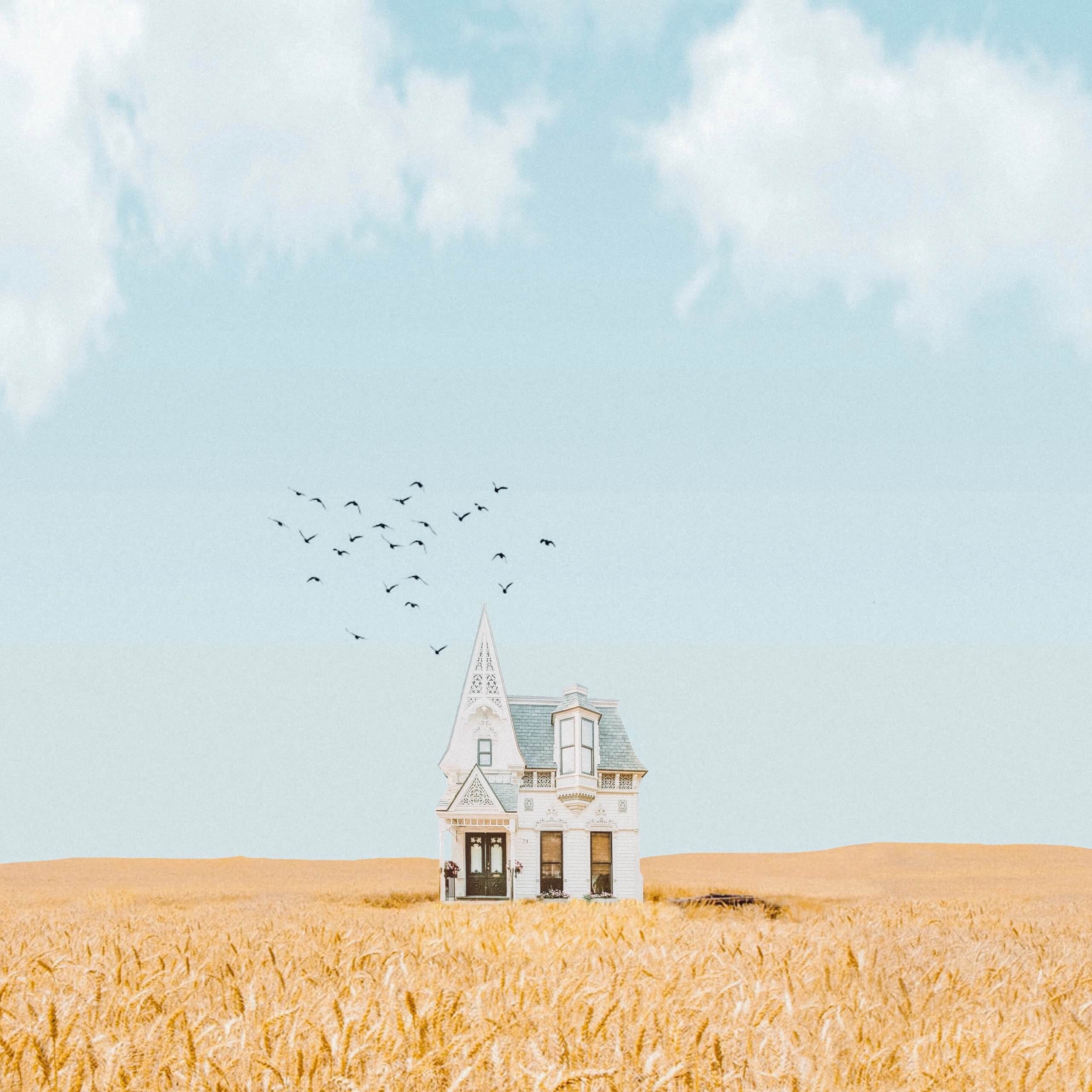 house in the middle of a corn field