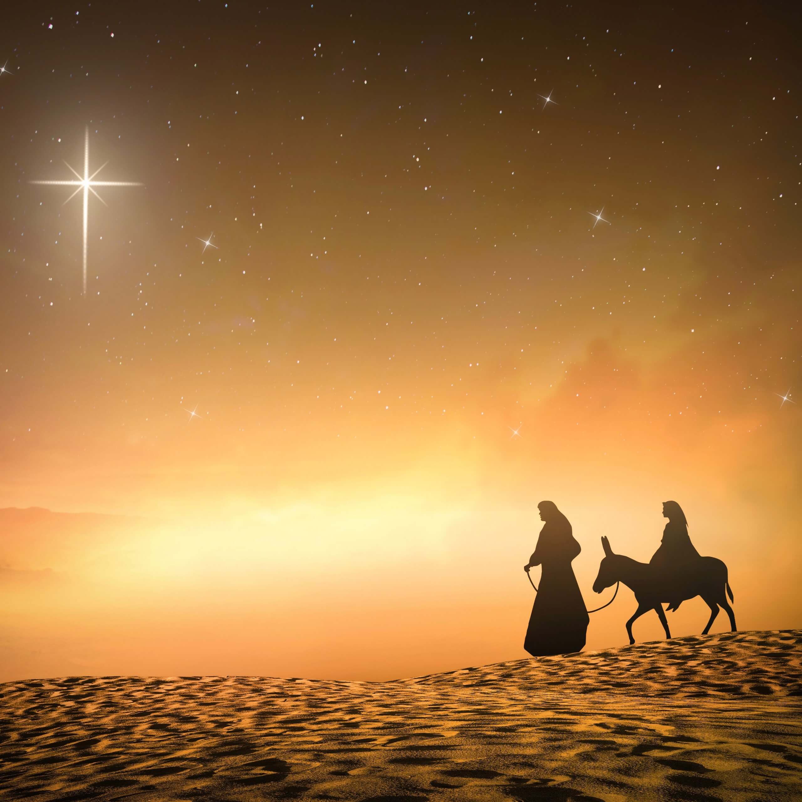 mary on a donkey and joseph leading her with the star of jesus in the sky