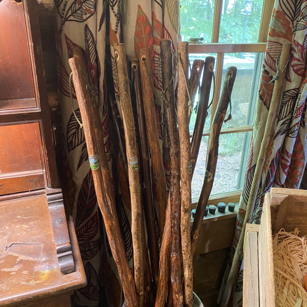 walking sticks in a barrel  | the swag hotel | Positively Jane